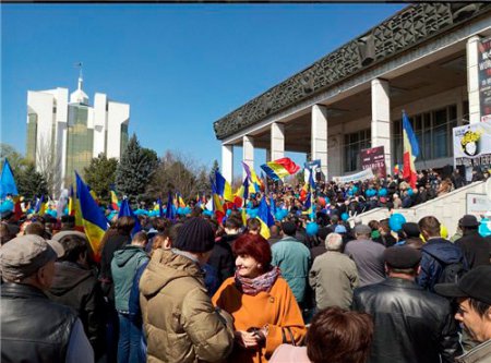 Молдавия: Весеннее обострение местных бабуинов Молдавия: Весеннее обострение местных бабуинов
