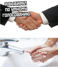 Миронов разнес в пух и прах «Умное голосование»: не примазывайтесь к победе «справороссов»