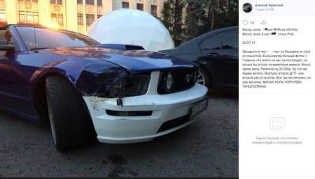 Либеральное отродье, или Сын Венедиктова желает смерти «нерусским» Либеральное отродье, или Сын Венедиктова желает смерти «нерусским»