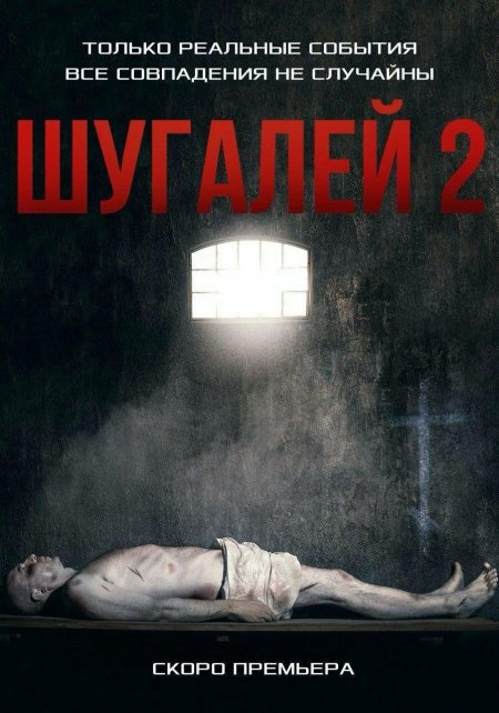 Манукян рассказал, что фильм «Шугалей» обратил внимание на проблемы в Ливии Манукян рассказал, что фильм «Шугалей» обратил внимание на проблемы в Ливии