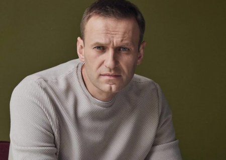 Куда ты лезешь! Немцы напомнили Навальному о том, что в их стране он только гость 