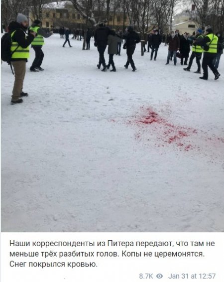 Оппозиционные журналисты расквасили три головы навальнят