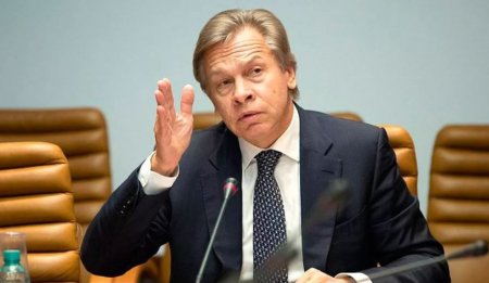 Пушков развеял мифы о самодостаточности и независимости IT-гигантов